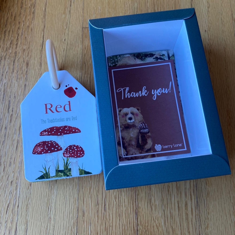 Berry Lane Nontoxic Colors & Counting Flashcards